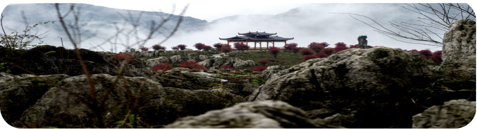 湖南旅游開(kāi)發(fā)公司,懷化旅游開(kāi)發(fā)公司,懷化峽谷探幽,懷化石林花山植物園 湖南旅游開(kāi)發(fā)公司,懷化旅游開(kāi)發(fā)公司,懷化峽谷探幽,懷化石林花山植物園